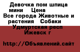 Девочка пом шпица мини  › Цена ­ 30 000 - Все города Животные и растения » Собаки   . Удмуртская респ.,Ижевск г.